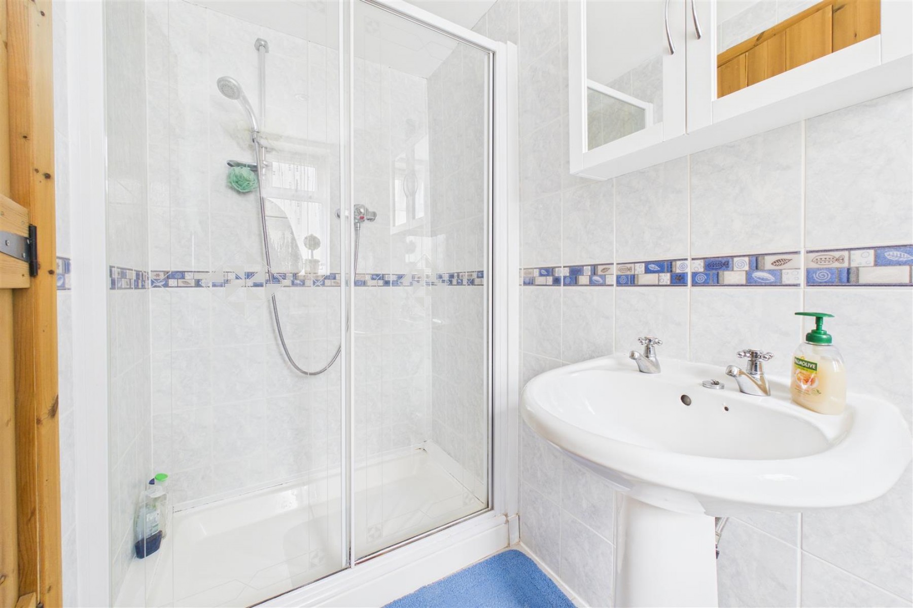 Images for HOUSE WITH POTENTIAL | BS49