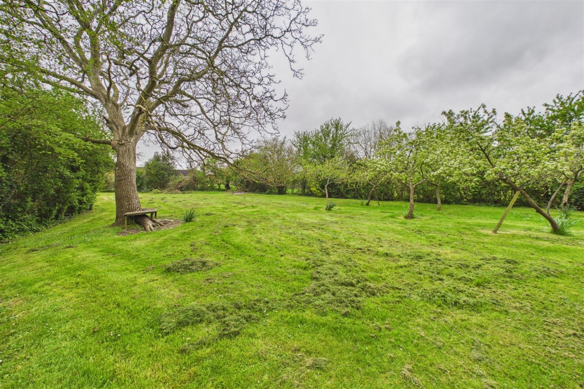 Images for HOUSE WITH POTENTIAL | BS49