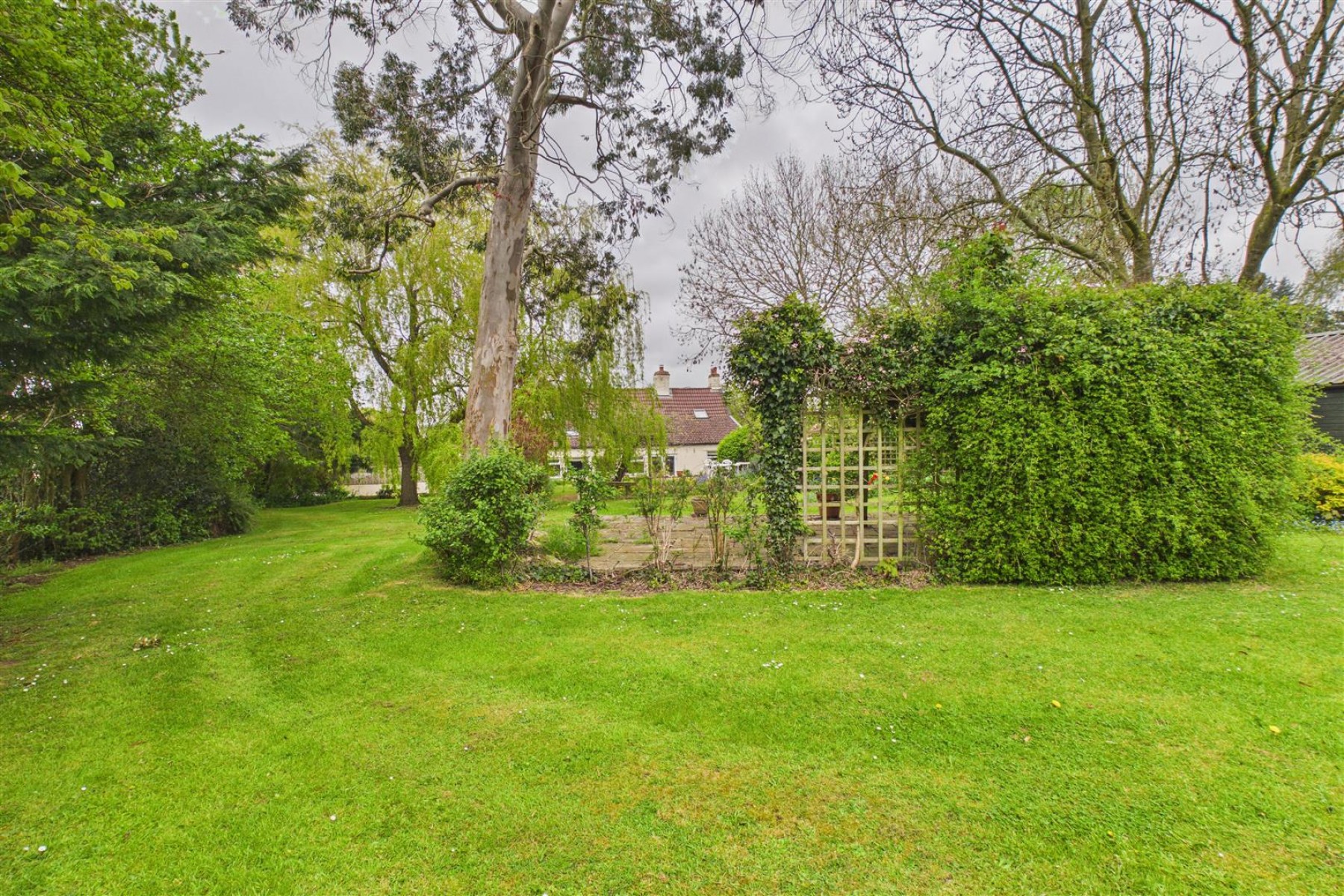 Images for HOUSE WITH POTENTIAL | BS49