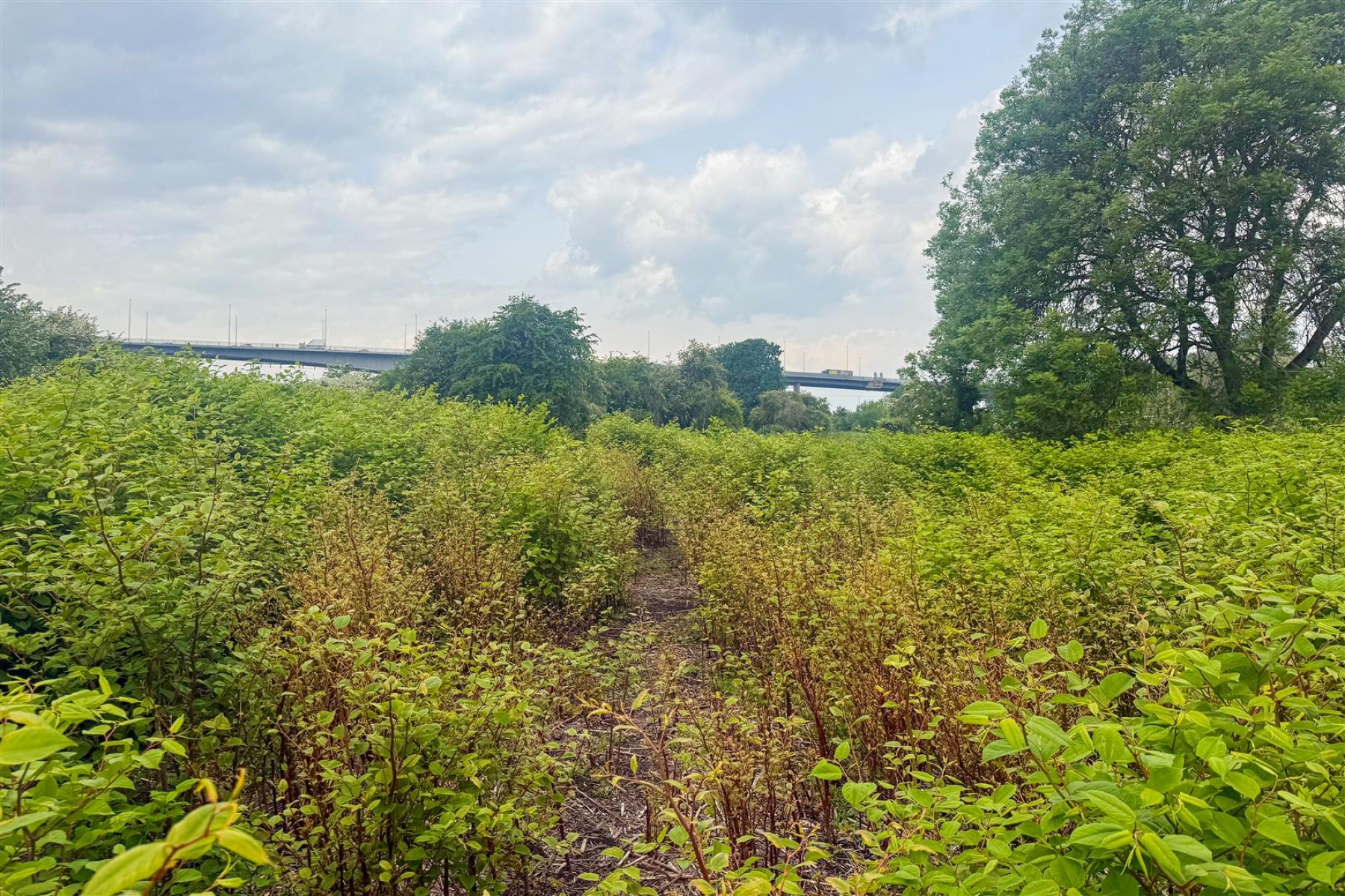 Images for FREEHOLD LAND | SHIREHAMPTON | BRISTOL