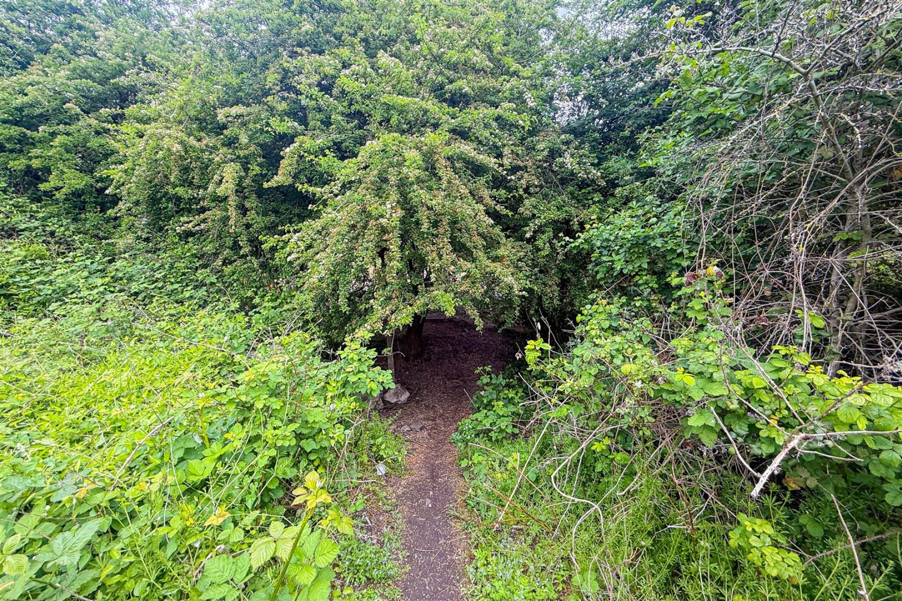 Images for FREEHOLD LAND | SHIREHAMPTON | BRISTOL