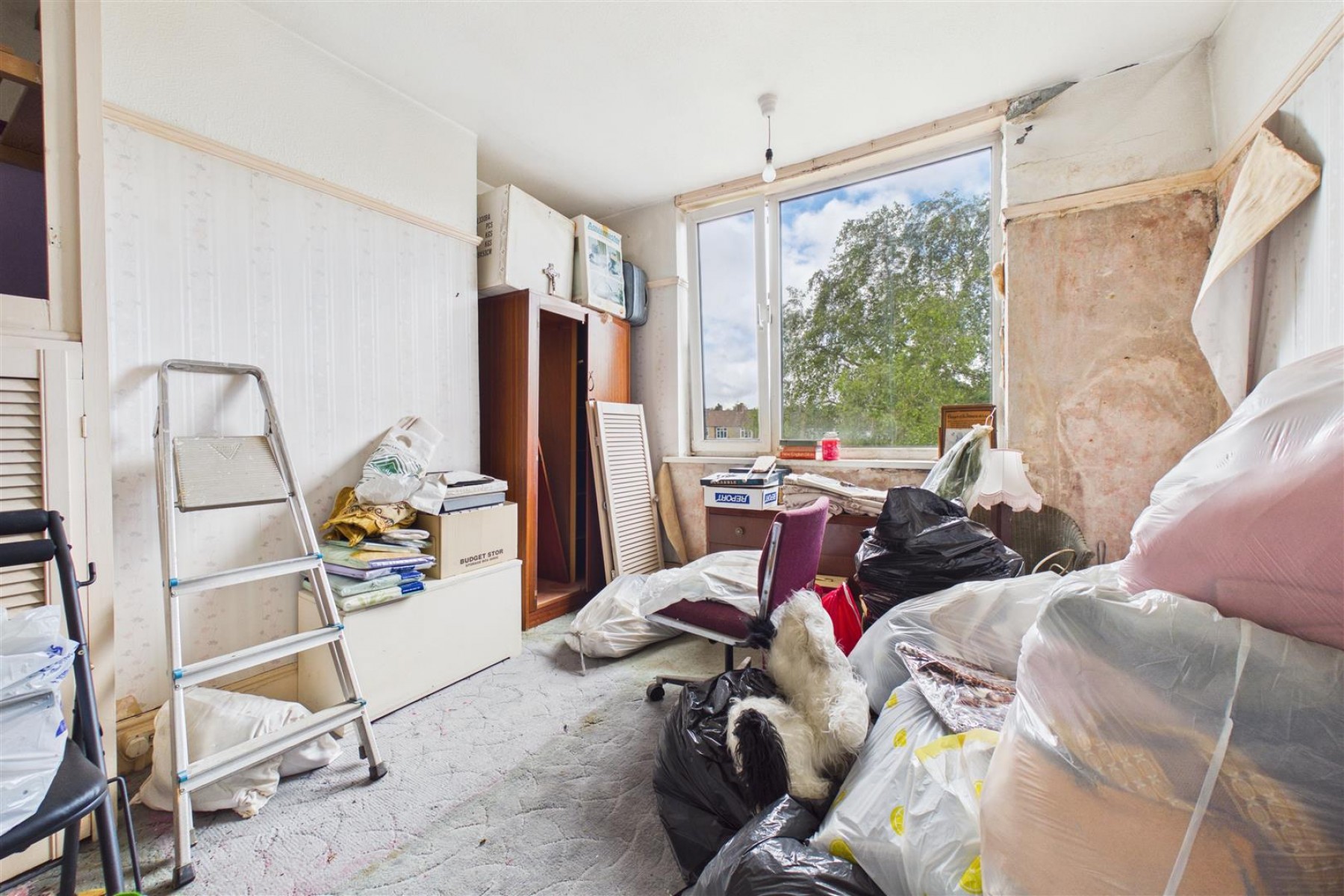 Images for HOUSE | MODERNISATION | KINGSWOOD