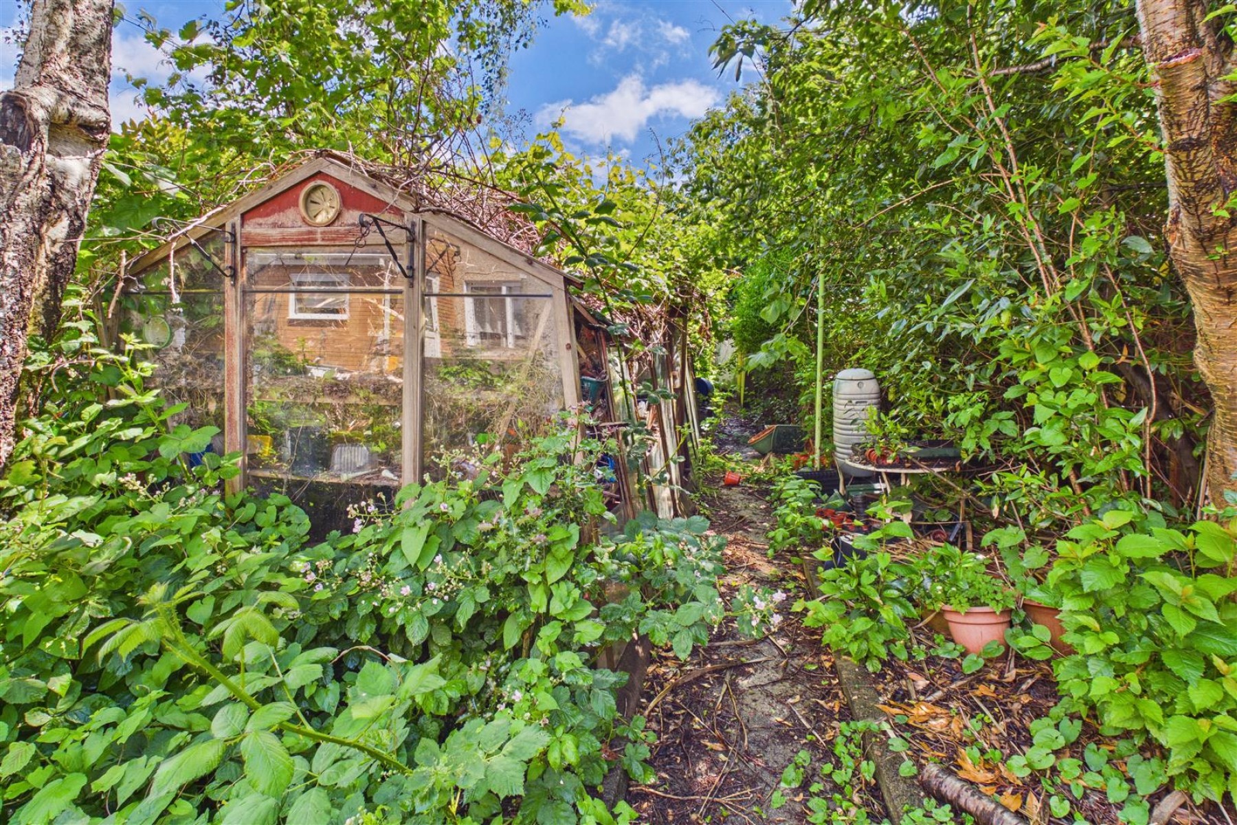 Images for HOUSE | MODERNISATION | KINGSWOOD