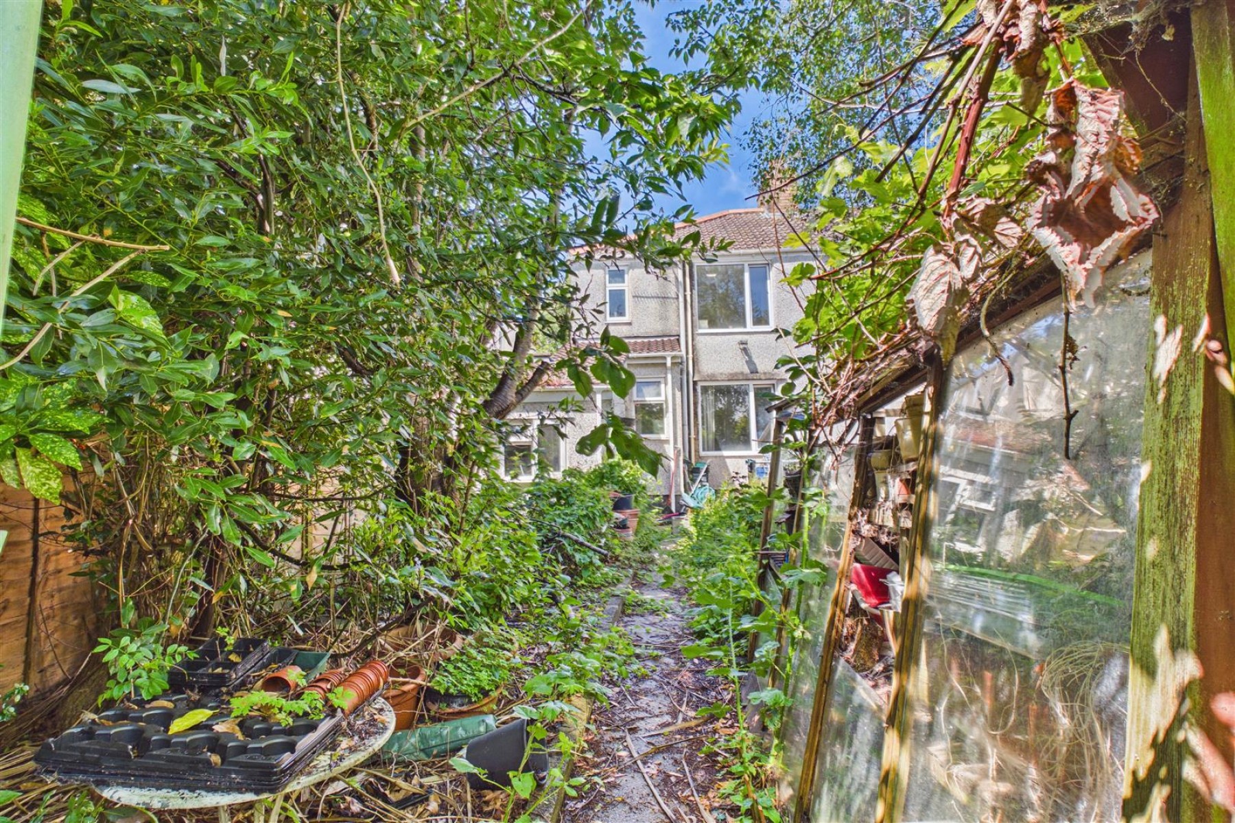 Images for HOUSE | MODERNISATION | KINGSWOOD