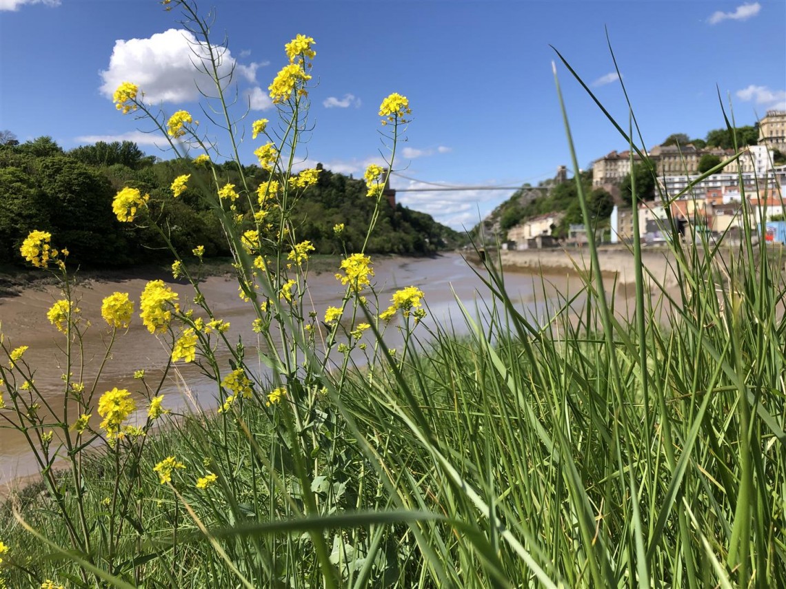 Images for River Gateway, Ashton, Bristol