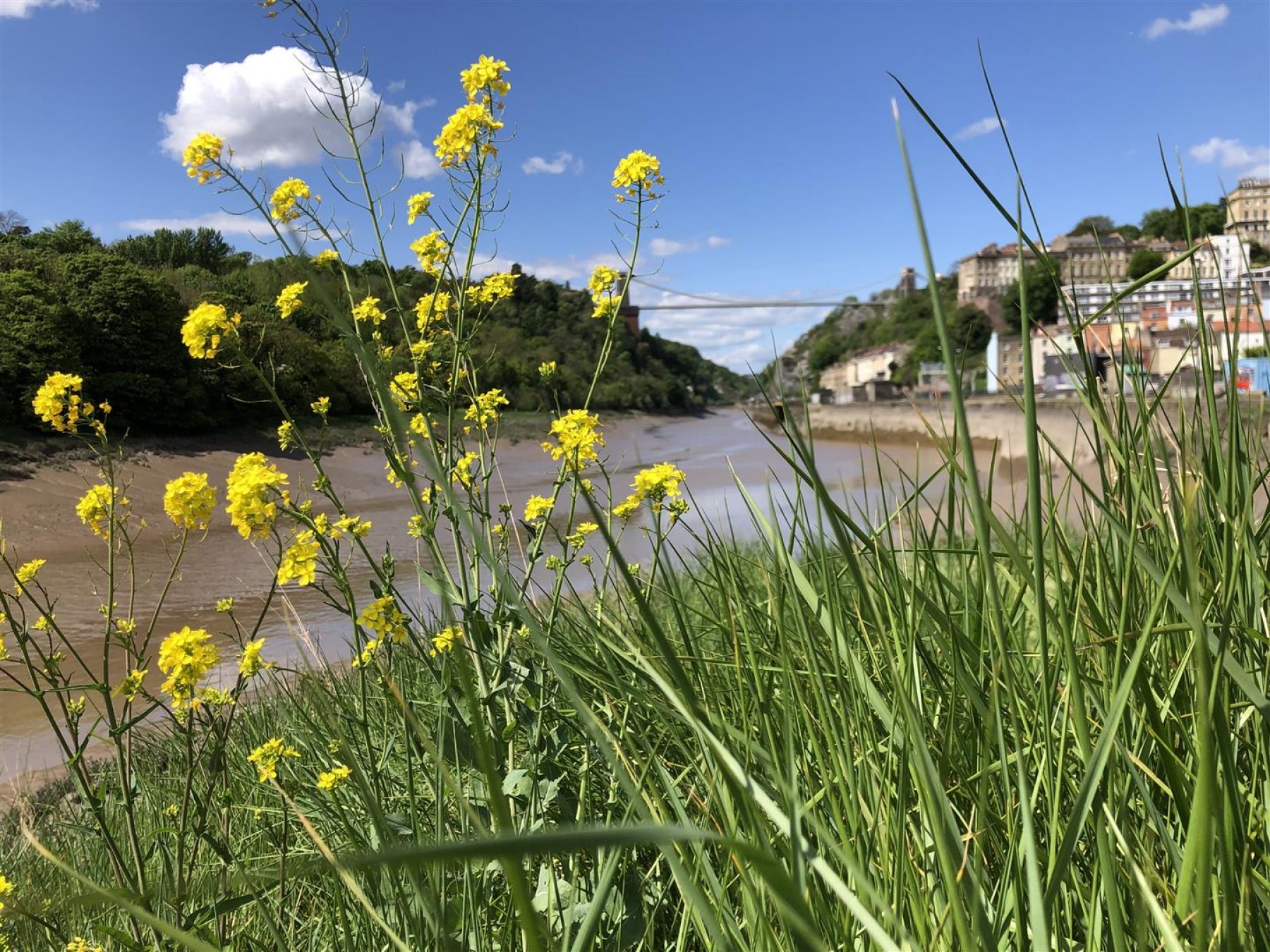 Images for River Gateway, Ashton, Bristol