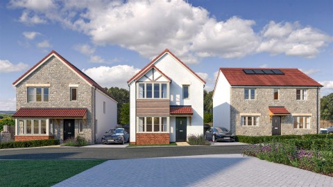 View Full Details for 