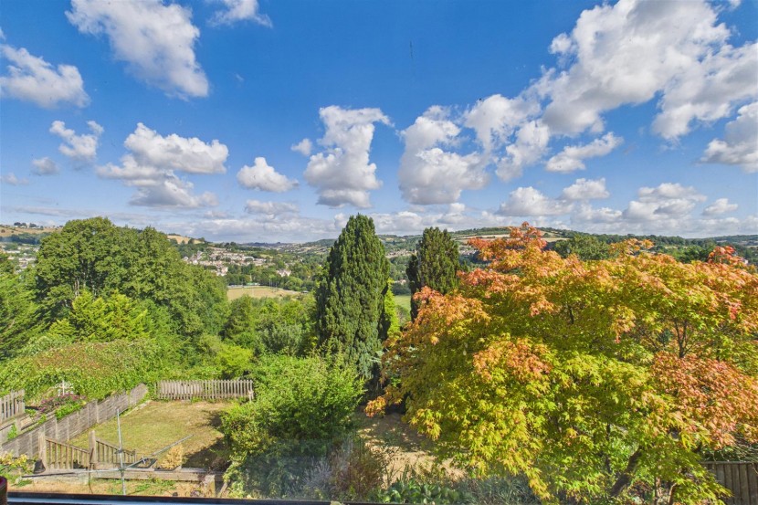 View Full Details for 